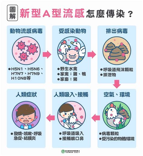 a流可以上班嗎|A型流感多久會好？可以上班嗎？完整了解A型流感症狀、傳染途。